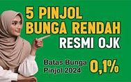 Pinjol Dibawah 17 Tahun